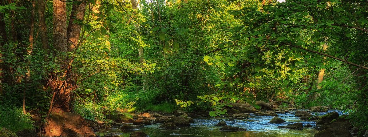 Öt perc múlva huszonöt